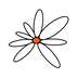 Synomi